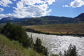 Yellowstone Photo Shots (Bulk Download)