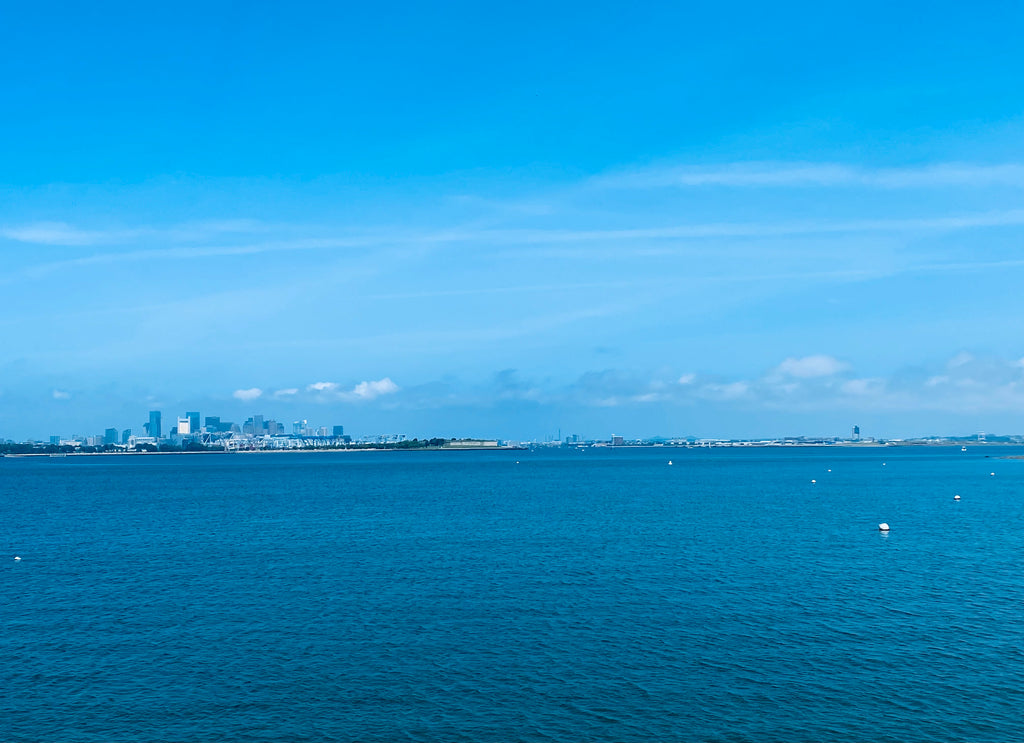 Boston Summer Photo Pack