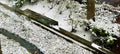 Frosty Leaves - Mini Pack (2 Images)