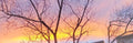Instant download golden sunset background—perfect for blog posts, social media graphics, and prints.
