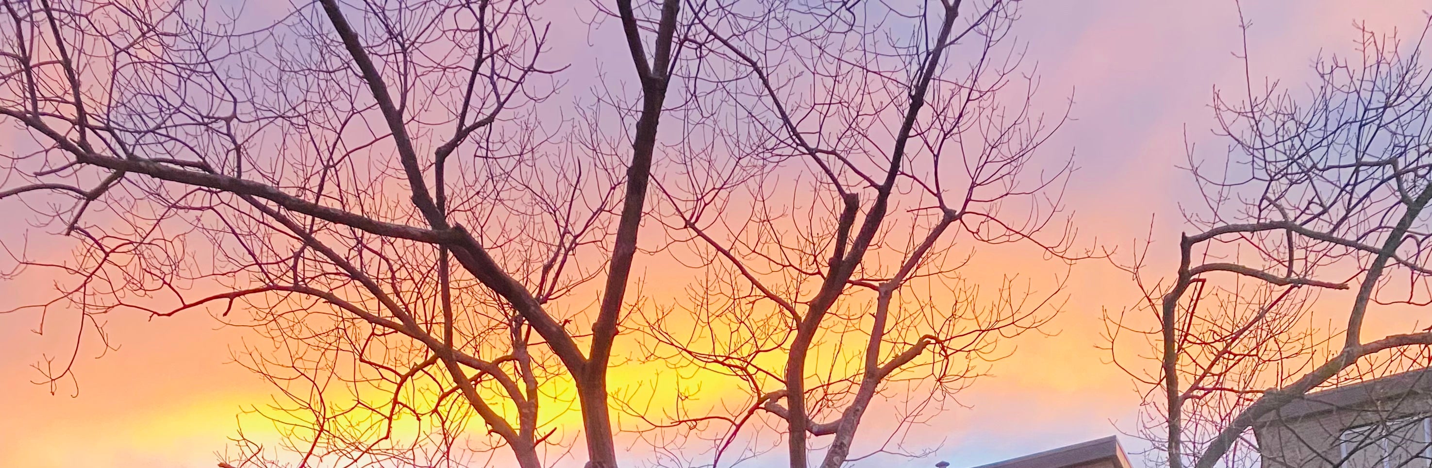 Instant download golden sunset background—perfect for blog posts, social media graphics, and prints.